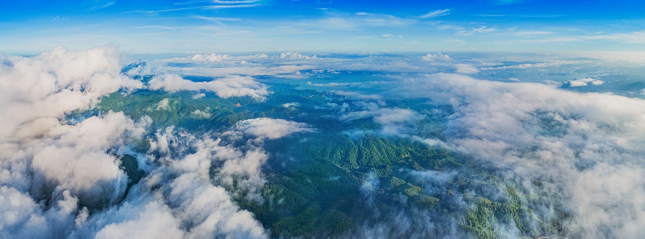 《万绿桂山》黄勇-15811618018.jpg