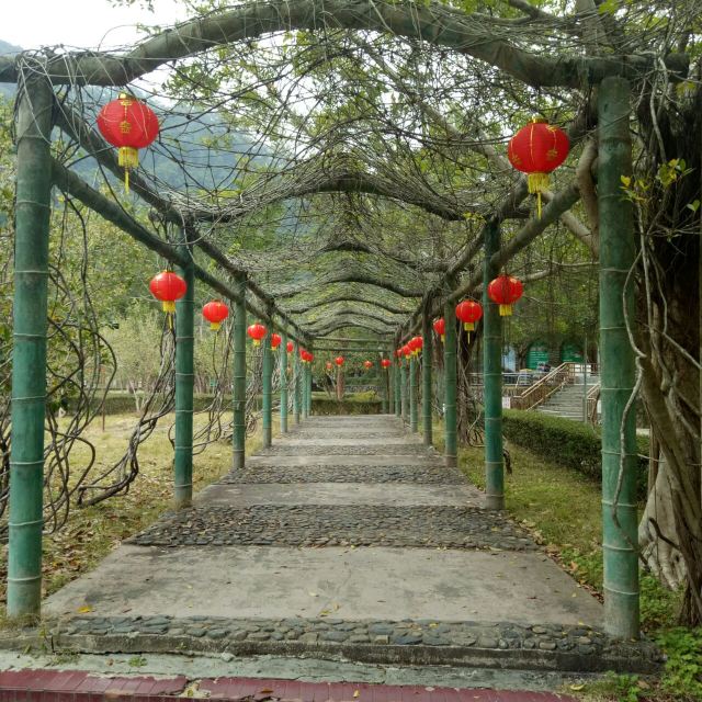 桂山3.jpg