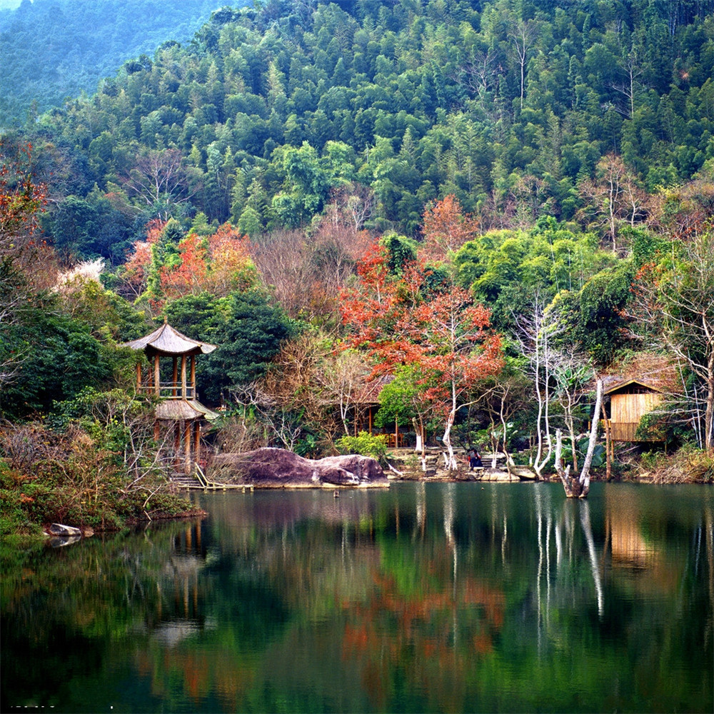 野趣沟2.jpg