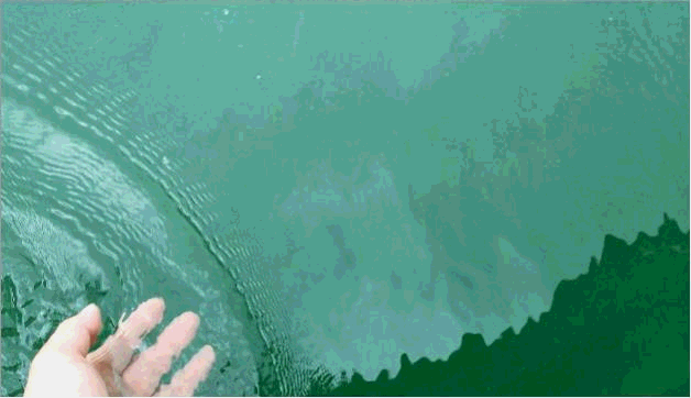 8.gif