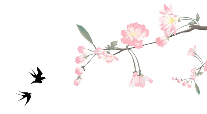 4.gif